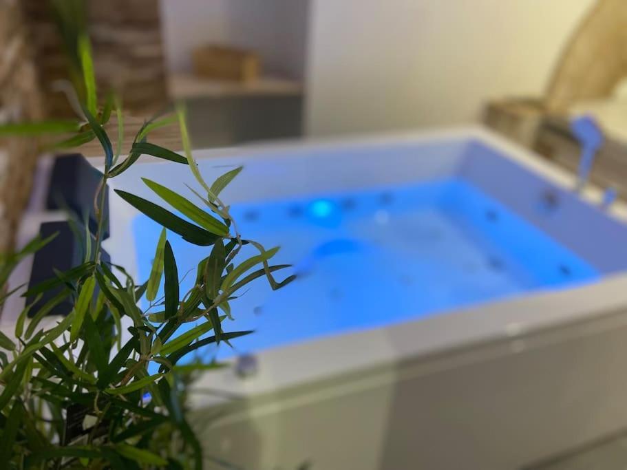 Lover Dose Spa Vierzon Eksteriør billede