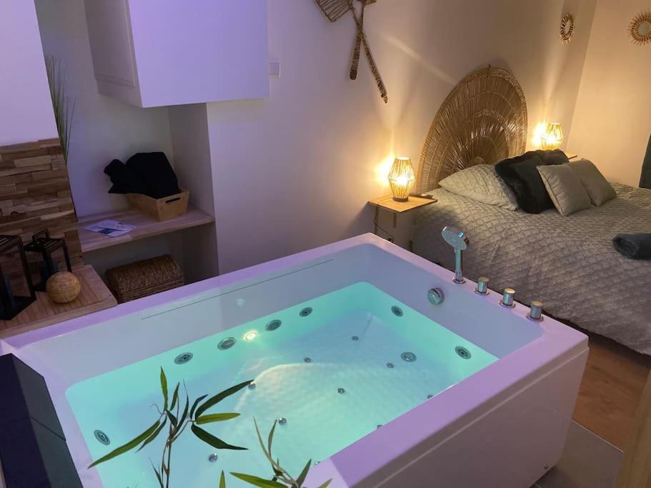 Lover Dose Spa Vierzon Eksteriør billede